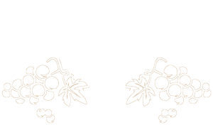 SOCCER-GRAPES SOCCER-GRAPES